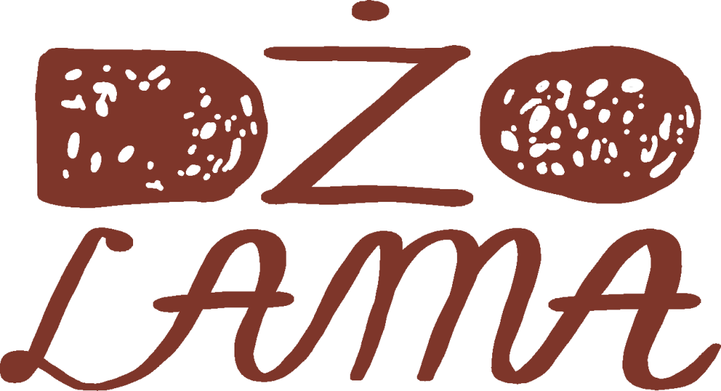 dzolama-logo